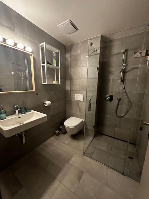 Horsky Apartman Achat Lägenhet Janov nad Nisou Exteriör bild